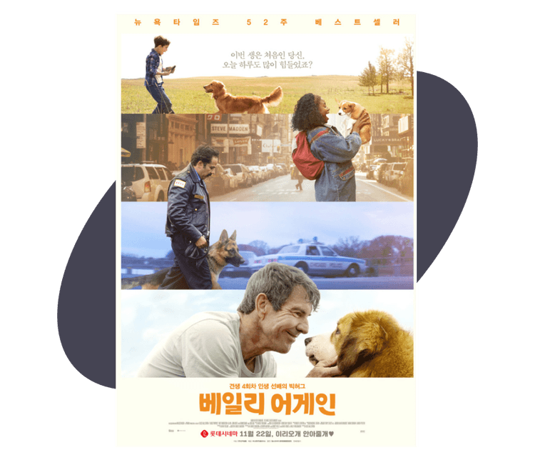 핑팁 본문 이미지